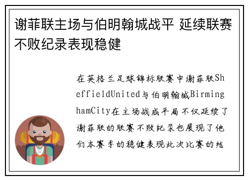谢菲联主场与伯明翰城战平 延续联赛不败纪录表现稳健