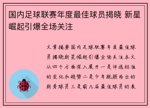 国内足球联赛年度最佳球员揭晓 新星崛起引爆全场关注