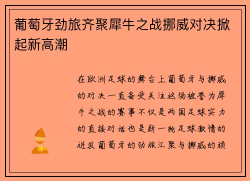 葡萄牙劲旅齐聚犀牛之战挪威对决掀起新高潮